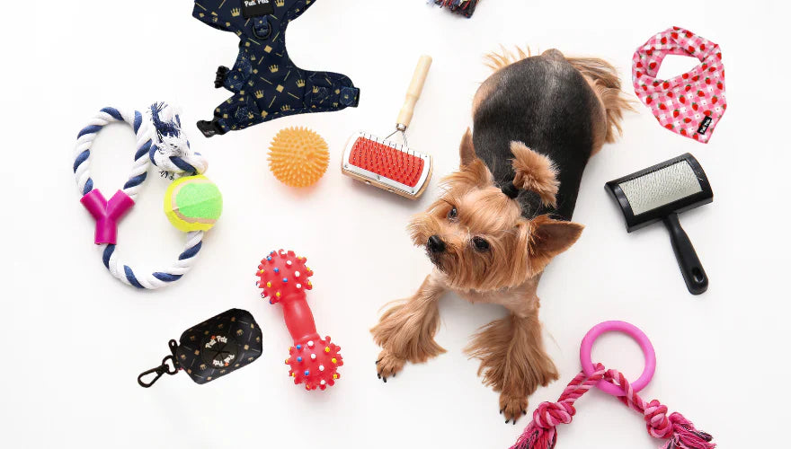 DOG ACCESSORIES